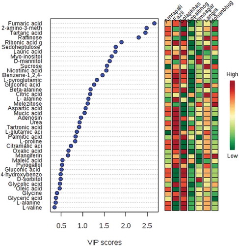 Figure 5. VIP scores of 30 most influential metabolites for PLS-DA discrimination.