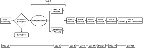 Figure 1. Study design. HRIG = human rabies immune globulin.