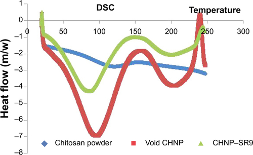 Figure S2 Endotherm observations.Notes: The endotherm for low-molecular-weight chitosan powder was observed at 100°C, whereas the endotherm for void CHNP was observed at 80°C, and CHNP–SR9 was observed at 95°C.Abbreviations: CHNP, chitosan nanoparticles; DSC, differential scanning calorimetry; SR9, cell-permeable dominant negative survivin SurR9-C84A; DSC,.