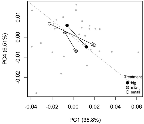 Figure 3. Bi-dimensional projection of the phenotypic trajectories across treatments: the chosen axes (Principal Component 1 and 4) best show the relationship between the angle and size components of the vectors. The dashed line represents the overall direction.