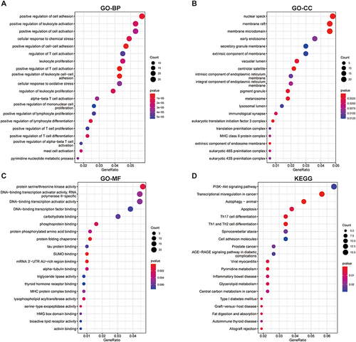 Figure 3 GO annotation and KEGG enrichment analyses of differentially expressed genes. (A–C) Enriched GO terms in MF, BP and CC. (D) KEGG pathway enrichment analysis. GO, Gene Ontology; KEGG, Kyoto Encyclopedia of Genes and Genomes; MF, molecular function; BP, biological process; CC, cellular component.