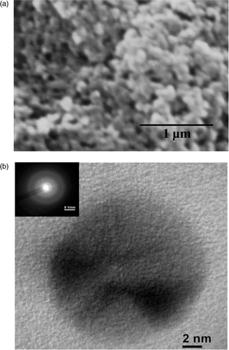 Figure 2. (a) SEM image for a representative Sample 4 indicating growth of conducting polymer-silver nanocomposites and (b) TEM image of a silver nanoparticle in the nanocomposites Sample 4 indicating typical size ∼15 nm. The inset of (b) shows the SAED of silver nanoparticles.