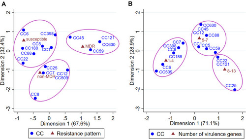 Figure 2 Correspondence analysis for testing the relationship between CCs and resistance patterns (A) or the number of virulence genes (B) of S. aureus isolates.