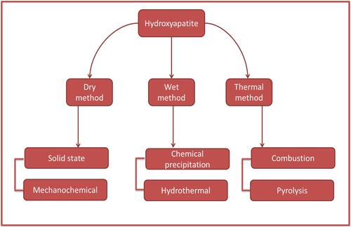 Figure 2 Methods to synthesize the synthetic HA.