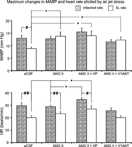 Figure 4 Maximum increases in mean arterial blood pressure (MABP) and heart rate evoked by air-jet stress in the infarcted and sham-ligated rats during i.c.v. infusion of artificial cerebrospinal fluid (aCSF), angiotensin II (ANG II), ANG II with vasopressin (VP) and ANG II with VP V1a receptors antagonist {d(CH2)5[Tyr(Me)2-Ala-NH29]AVP; V1ANT}, *significant difference between the corresponding experimental groups, #significant difference between the infarcted and sham-ligated rats (##P < 0.01, #P < 0.05). n = 8–9 rats per group.