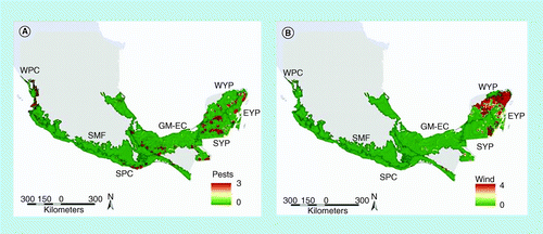 Figure 3.  Spatial distribution of natural disturbances in Mexico. (A) Pests and diseases; (B) wind. Scale: 1 = very light to 4 = severe.EYP: East Yucatan Peninsula; GM-EC: The Gulf of Mexico and eastern Chiapas; SMF: Sierra Madre Foothills; SPC: South Pacific Coast; SYP: South Yucatan Peninsula; WPC: West Pacific Coast; WYP: West Yucatan Peninsula.