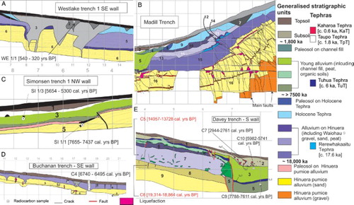 Figure 5. Trench logs: A, Westlake trench (see full log in Figure S4). B, Madill trench (see full log in Figure S5). C, Simonsen trench 1 (see full log and log of Simonsen trench 2 in Figure S6). D, Buchanan trench (see full log in Figure S8). E, Davey trench (see full log in Figure S9). Note that radiocarbon samples in red on Davey trench were collected on the north wall and displayed at the correlating level on the south wall. Full unit descriptions are in Tables S2 and S4–S9. Note that the generalised legend uses similar colour tones for units that are approximately the same age but not necessarily the same environment. Unit numbers do not correlate across trenches.