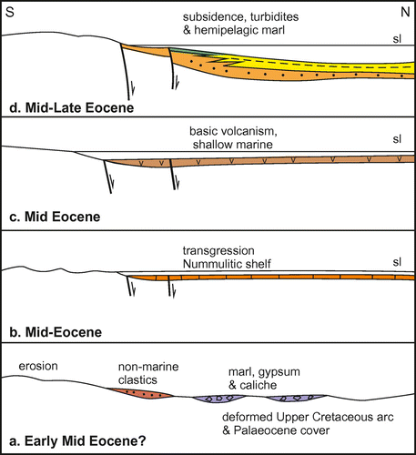 Figure 38. Mid- to Late Eocene post-collisional basin located in the northeast (Olur area; see Figure 3). The basin records subsidence soon after the final ocean basin suturing. More distal successions are exposed along the Black Sea coast, suggesting that the Eastern Black Sea basin also experienced a rift event during Mid-Late Eocene time. Similar basins of this age developed throughout the Pontides and the Lesser Caucasus. See text for discussion.