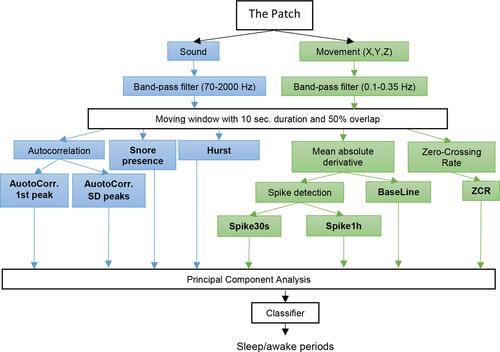 Figure 2 Sleep/wakefulness detection algorithm using tracheal sounds and movements.
