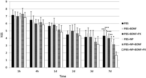 Figure 3. A bar graphs depicting neurological severity score (NSS) in male C57Bl/6 mice with brain trauma at 1 h, 4 h, 1d, 2d, 3d and 7d post-injury. 3 h post-injury, intravenous injection in volume 0.2 ml was administered with the following solutions: phosphate-buffered saline (PBS); solution of recombinant BDNF in PBS (PBS + BDNF); solution of recombinant BDNF in PBS with poloxamer 188 (PBS + BDNF + PX); suspension of empty poly(lactic-co-glycolic acid) nanoparticles (NP); suspension of NP with adsorbed BDNF on their surface (PBS + NP + BDNF); suspension of NP with adsorbed BDNF on their surface and coated by poloxamer 188 (PBS + NP + BDNF + PX). Values are mean ± SD, n = 6; *p < 0.05, **p < 0.01 and ***p < 0.001 versus PBS + NP + BDNF + PX group. Repeated measures two-way ANOVA with Bonferroni post-hoc analysis.