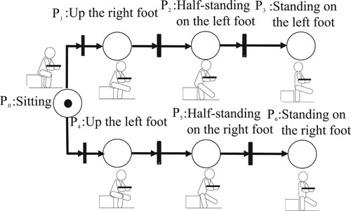 Figure 4. Transition model for single-leg standing.