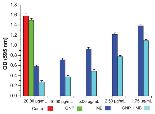 Figure 6 Crystal violet biofilm reduction assay bar plot represents the reduced biofilm optical density measurement at 595 nm.Notes: Here, GNP (0.2 mg/mL) optical density shows the negligible inhibition of Candida biofilm as compared to control. With the increment of MB concentration in GNB-MB conjugate (1.75 μg/mL to 20 μg/mL; MB), biofilm or optical density of biofilm significantly decreases in GNP–MB-treated biofilm, in comparision to MB-treated biofilm.Abbreviations: GNP, gold nanoparticle; MB, methylene blue.