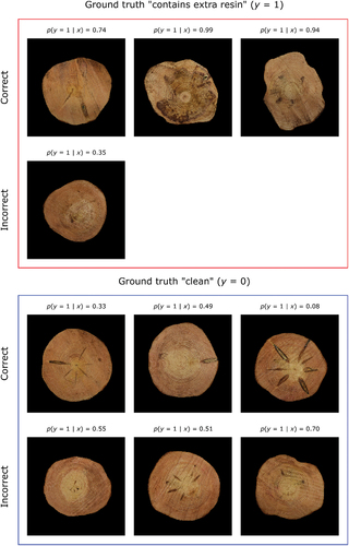 Figure 7. Examples of predictions made on the test set by the final representative classifier model (see text for details) for detecting extra resin in stem end RGB images of Scots pine. In the rotten ground-truth category, only one incorrect prediction, i.e. false negative, was produced by the model.