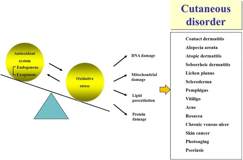Figure 1 Various cutaneous disorder related with oxidative stress and aberrant antioxidant system