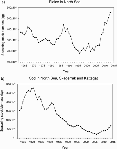 Figure 2. Spawning stock biomass estimates from standard assessment (ICES Citation2015). (a) Estimates for plaice in the North Sea during 1963–2013. (b) Estimates for cod in the North Sea and Skagerrak/Kattegat for the years 1963–2014.