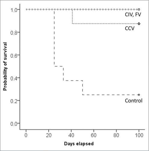 Figure 4. Kaplan–Meier survival curve after tumor challenge of prophylactically vaccinated mice (n= 8/group). Abbreviations: CCV, cancer cell vaccine group; CIV, co-incubation vaccine group; Control, control group; FV, fusion vaccine group.