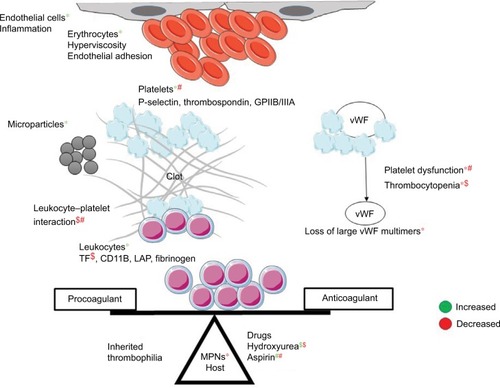 Figure 3 Pathophysiology of coagulation disorders in MPNs.