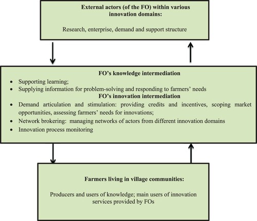 Figure 1. A conceptual framework to analyze the possible innovation intermediaries’ functions of FOs in supporting farmers’ adoption of agroecological innovations. Source: Own elaboration based on Yang et al. (Citation2014); Kilelu et al. (Citation2011); Arnold and Bell (Citation2001).