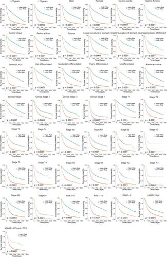 Figure 8 Survival analysis of the clinical features of postoperative patients with gastric cancer in the high and low risk groups in each subgroup in the SEER database.