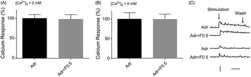 Figure 4. Effects of fucoidan on the Ca2+ responses induced by adrenaline in hippocampal neurons. Quantification of the areas of Ca2+ response curves corresponding to the application of adrenaline (100 µM) in hippocampal neurons in the presence (A) or absence (B) of extracellular calcium ions. The ordinates are expressed in reference to the control value. The error bars represent the SEM. Representative time course curves of the Ca2+ responses induced by adrenaline (100 µM) with or without fucoidan (C). Adr: adrenaline; F: fucoidan. Vertical bar: 0.5 (as ratio of F340/F380); horizontal bar: 1 min. n = 3.