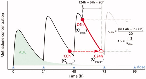 Figure 7. Calculation of methadone half life. In a once a day (24 h) dosing. C4h (C post peak) must be measured 4 or more hours after last dose to ensure drug distribution has taken place.