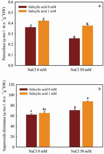 Figure 1. The interaction of salicylic acid and NaCl on POD (A) and SOD (B) activities in guava seedlings. Means ± SD of six replicates are given. The same letters indicate no statistically significant difference (Tukey, p < .01)