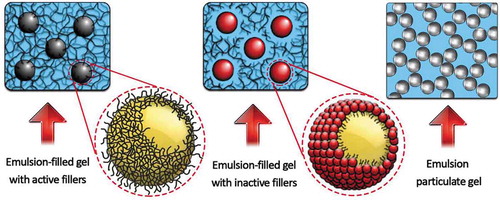 Figure 19. Schematic representation of emulsion-filled gels and emulsion particulate gels. Reproduced from ref. [Citation508] with permission. Copyright 2019 Elsevier