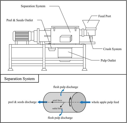 Figure 2. Schematic diagram of cold pulping equipment. The equipment was made by the ministry of China agriculture of modern apple industry technology system (depending on the Shaanxi Normal University) and Xi’an Ding He machinery manufacturing.Figura 2. Diagrama esquemático del equipo de despulpado en frío. El equipo fue fabricado por el Ministerio de Agricultura chino por el equipo de trabajo de sistemas tecnológicos para la industria de la manzana (dependiente de la Universidad Normal Shaanxi) y de la empresa fabricante de maquinaria Xi’an Ding He.