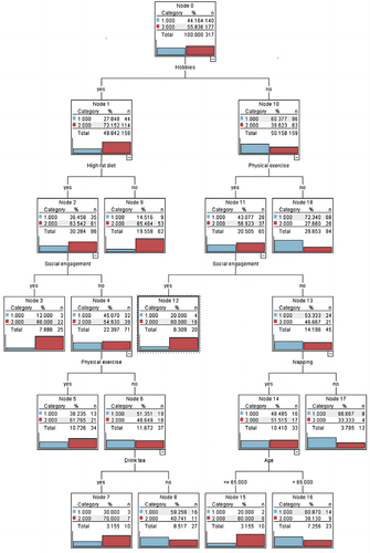 Figure 2 In the decision tree prediction model, the blue bars represented MCI progression and the red bars represented MCI stable. Hobbies, physical exercise, social engagement, high-fat diet, age, napping, and drinking tea entered each node of the decision tree prediction model.