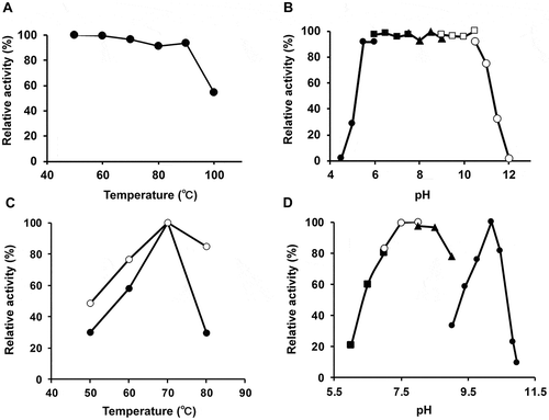 Figure 4. Thermal/pH stability and optimal pH level and temperature. (A) Effect of temperature on the stability of AK-HseDH. The enzyme was incubated for 10 min at different temperatures, and the residual activity was measured using the standard assay method for HseDH. (B) Effect of pH on the stability of AK-HseDH. The enzyme was incubated in different pH buffers for 10 min at 50°C, and the remaining activity was determined under the standard assay conditions for HseDH. (C) Effect of temperature on HseDH activity (Display full size) and AK activity (○). Enzyme activities were measured at various temperatures between 50 and 80°C. (D) Effect of pH on HseDH activity (Display full size) and AK activity (■, ○, ▲). Enzyme activities were measured at pH values ranging from 6.3 to 8.4 for AK and from 8.9 to 11.1 for HseDH. All measurements were performed in triplicate (n = 3).