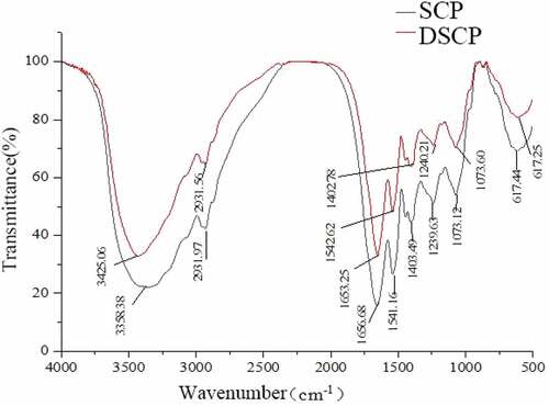 Figure 3. IR spectra of SCP and DSCP