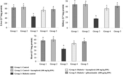 Figure 7. Effect of kaempferol on the activity of CAT in the tissues of STZ-diabetic rats. Values are given as means ± SD from six rats in each group. Values not sharing a common superscript differ significantly at P < 0.05. DMRT. U* = µmol of hydrogen peroxide consumed/minute.