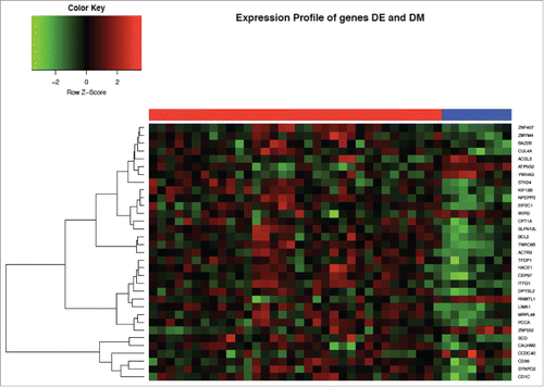 Figure 1. Heatmap of gene expression profiles of the top differentially methylated (DM) and expressed (DE) genes in SARD subjects compared to controls. Columns under the red bar represent SARD subjects and under the blue bar controls.