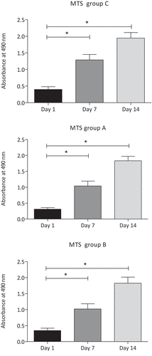 Figure 5. Group-specific MSC viability measured by MTS assay (n = 4; group A: 80 mT, group B: 150 mT, group C: control group). The optic absorption of all three groups increased significantly from day 1 to day 7 and day 14. *p < .05, n = 4; Tukey’s multiple comparison test; data are means ± SD.