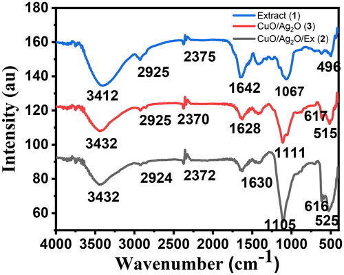 Figure 4. FTIR spectra of aqueous crude leaf extract of (1) (blue), (2) (black), and (3) (red) NCPs.