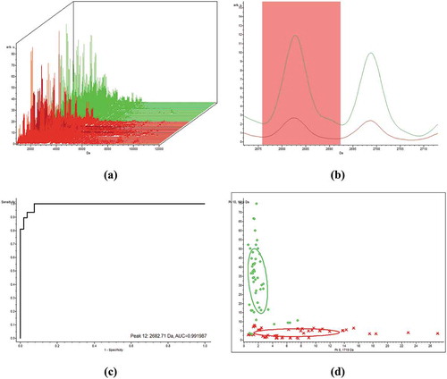 Figure 1. CAN (red color) against control (green color). (a) Spectra view of CAN against control. (b) Spectra view of peak 12 at the mass 2683. (c) ROC curve peak 12 with m/z 2683 and AUC = 0.991. (d) 2D distribution of peaks (12, 124 with m/z (2683 and 4326 Da).