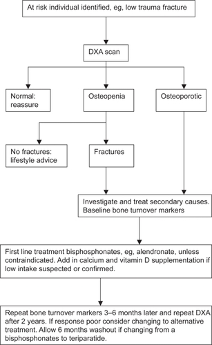Figure 9 Proposed flow chart for the treatment of men with osteoporosis.