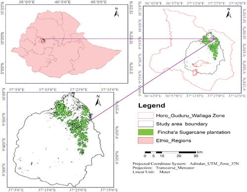 Figure 1. Map of the study area.