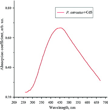 Figure 2. UV–visible absorption spectrum of CdS nanoparticles.