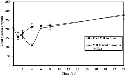 Figure 3. Blood glucose concentration after oral administration of free MH solution or MH-loaded niosomes (MN3). The data represent the mean ± SEM of six determinations.