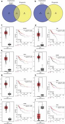 Figure 3. Screening the biomarkers in cervical cancer