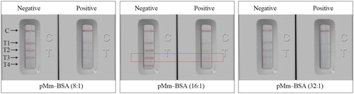 Figure 2. The effect of immobilization concentration and incorporation rates of coating antigen. Concentration of coating antigen (pMm–BSA) on the T1, T2, T3 and T4 were 1, 0.5, 0.25 and 0.125 mg/mL, respectively. Incorporation rates of pMm–BSA were 8:1, 16:1 and 32:1. The standard concentration: negative (0 ng/mL); positive samples (40 ng/mL).