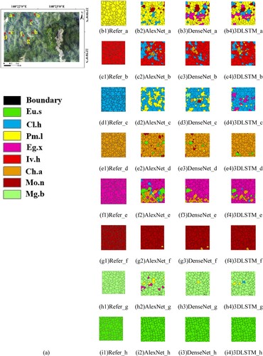 Figure 8. Classification map of the study area. (a) The imagery of the study area; a-h in the imagery are pure forests of Pinus massoniana Lamb, Illicium verum Hook. f, Cunninghamia lanceolata (Lamb.) Hook., Castanopsis hystrix A. DC, Eucalyptus grandis x urophylla, Michelia odora (Chun) Nooteboom & B. L. Chen, Manglietia glauca Blume, and Eucalyptus urophylla S.T. Blake; (b1)-(i4) the classification maps of the reference, AlexNet, DenseNet, and 3DLSTM of study areas a-h, respectively.