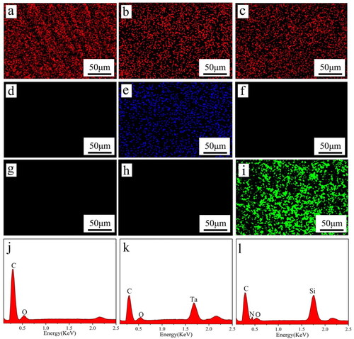 Figure 3. EDS elemental mapping of PEEK (a, d, g), TPC (b, e, h), and SPC (c, f, i), and distribution of carbon (C) element in red (a-c), tantalum in blue (d-f), silicon in green (g-i) on the samples, and EDS elemental spectra of PEEK (j), TPC (k) and SPC (l).