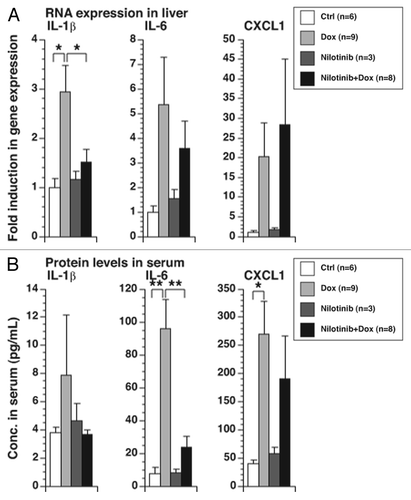 Figure 4. Effect of nilotinib in doxorubicin-mediated RNA expression and cytokine production in mice. Mice were treated with 0.1 mL of vehicle or nilotinib (75 mg/kg) daily for 6 d by oral gavage. On the sixth day, mice were also injected with saline or doxorubicin (25 mg/kg). Sixteen hours post-injection, blood was collected by cardiac puncture and livers were snap-frozen for RNA isolation. (A) Measurement of gene expression in liver samples using real-time PCR. (B) Cytokine measurement of serum samples using bead-based multiplex assay. Mean values ± SEM are shown. * p < 0.005; ** p < 0.01.