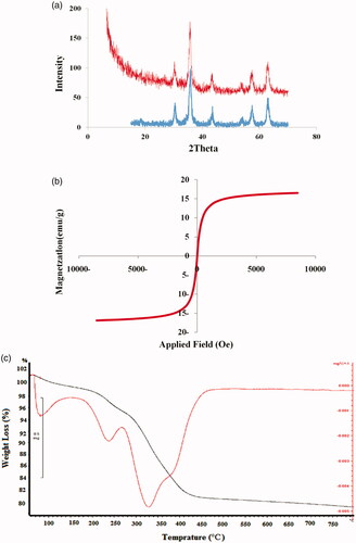Figure 5. X-ray diffraction patterns (a), magnetization curve (b) and thermogravimetry (TG) (c) of poly(SEMA-b-NIPAM-b-DMAEMA)/Fe3O4 magnetic nanocomposite and Fe3O4 nanoparticles. The blue spectra stood for Fe3O4 and red spectra was for poly(SEMA-b-NIPAM-b-DMAEMA)/Fe3O4 magnetic nanocomposite.