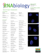 Cover image for RNA Biology, Volume 10, Issue 11, 2013