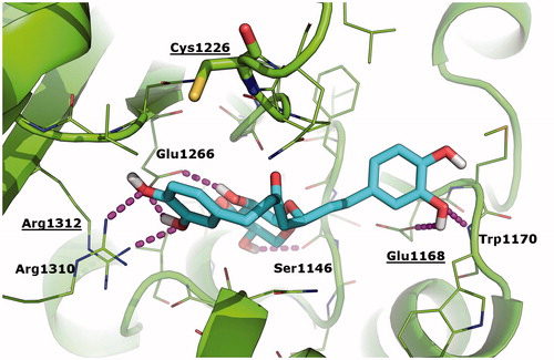 Figure 6. Binding mode of oregonin to DNMT1 crystallographic structure as predicted by molecular docking simulations. Oregonin is shown as cyan sticks; the crystallographic structure of DNMT1 (PDB: 4 WXX)Citation31 is shown as green cartoon; residues within 5 Å from Oregonin are showed as green lines; Cys1226 is shown as green sticks. H-bonds are highlighted as magenta dashed lines; DNMT1 residues H-bonded to oregonin are labelled. Residues that are contacted by curcumin and its analogues in Liu et al.’s studyCitation12 are labelled and underlined.