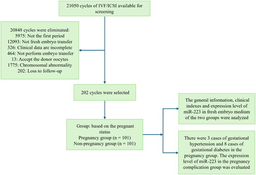 Figure 1. The flow chart of experimental scheme.