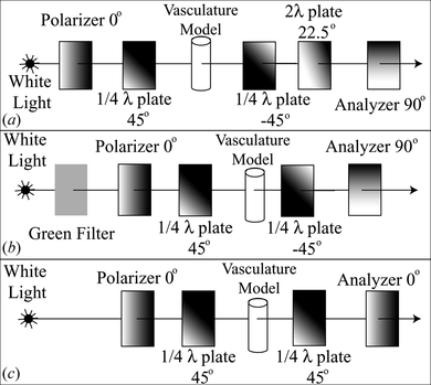 Figure 2 Polariscopes used for stress analysis in blood vessels models: (a) for simultaneous measurements of stress magnitude and direction, (b) for high-accuracy stress analysis, (c) for real-time analysis.